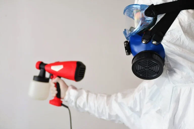 mold prevention and removal